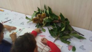 Laboratori creativi Asilo Vadone Quiliano